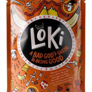 Walker Books Loki Bad God’s Guide Book 1 Children’s Norse Myth eBook-0